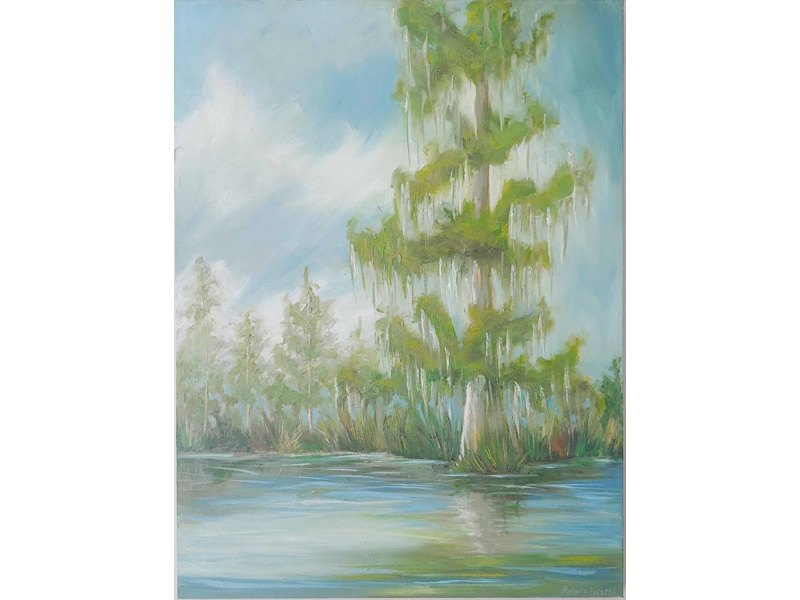 Summer Cypress